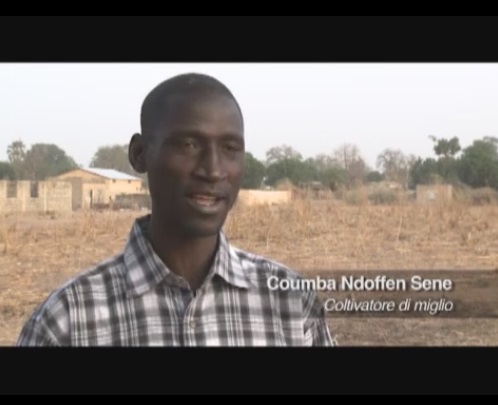 Senegal: alimentarsi a km zero